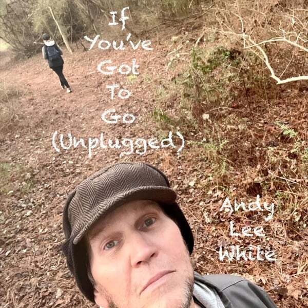 Cover art for If You've Got to Go (Unplugged)