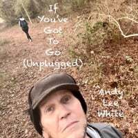 If You've Got to Go (Unplugged)